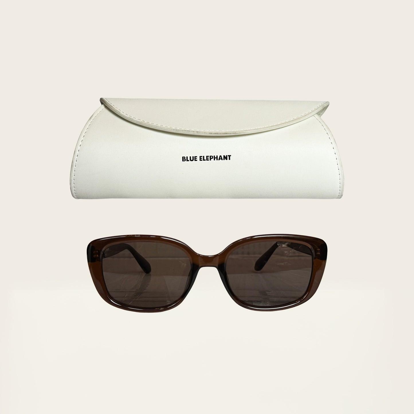 Blue Elephant stan bruin